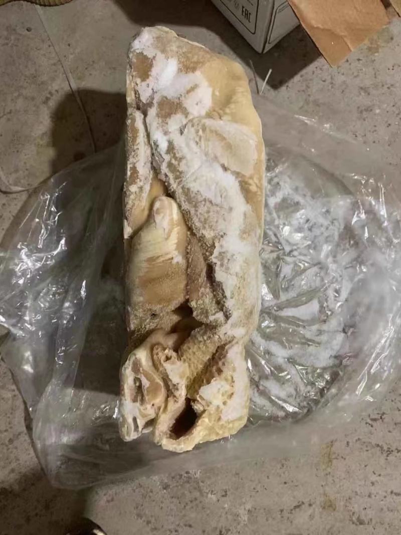牛肚源头厂家适合炒菜黄焖牛肚凉拌肚