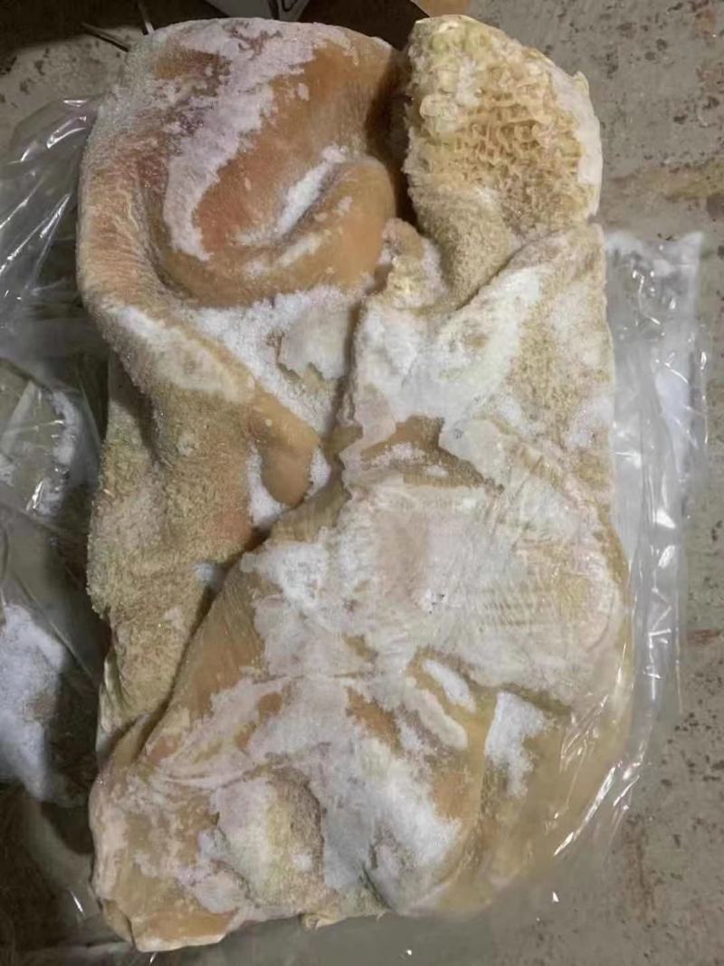 牛肚源头厂家适合炒菜黄焖牛肚凉拌肚