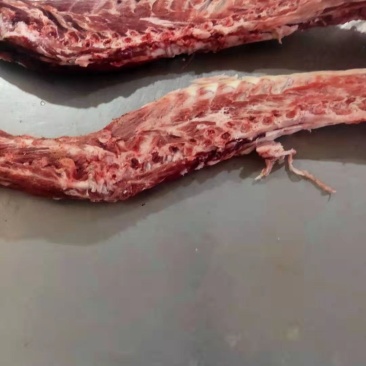 羊骨头