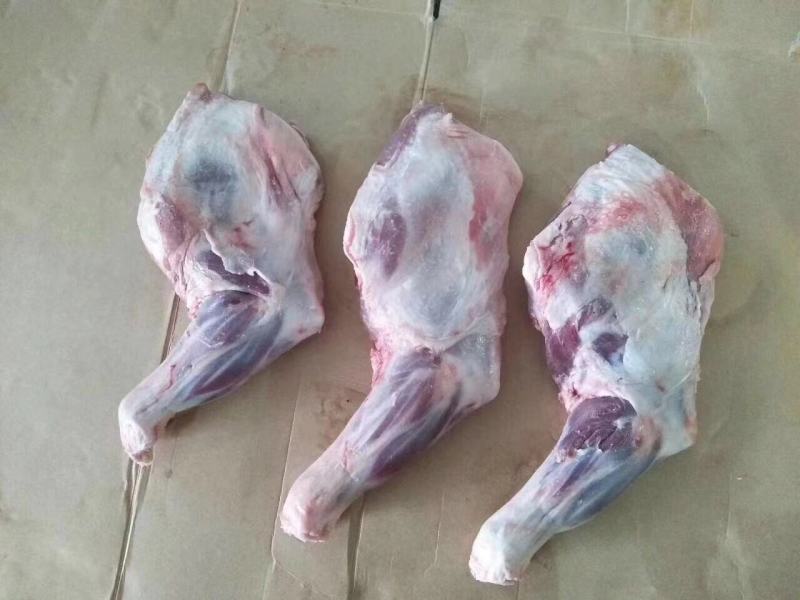 羔羊羊前腿