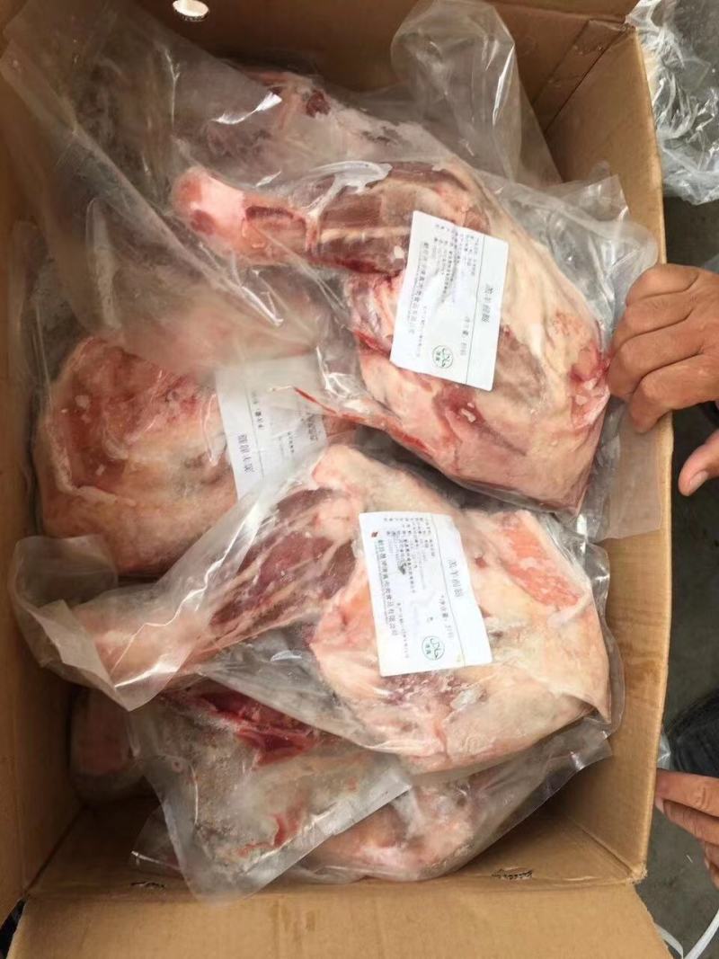 羔羊羊前腿