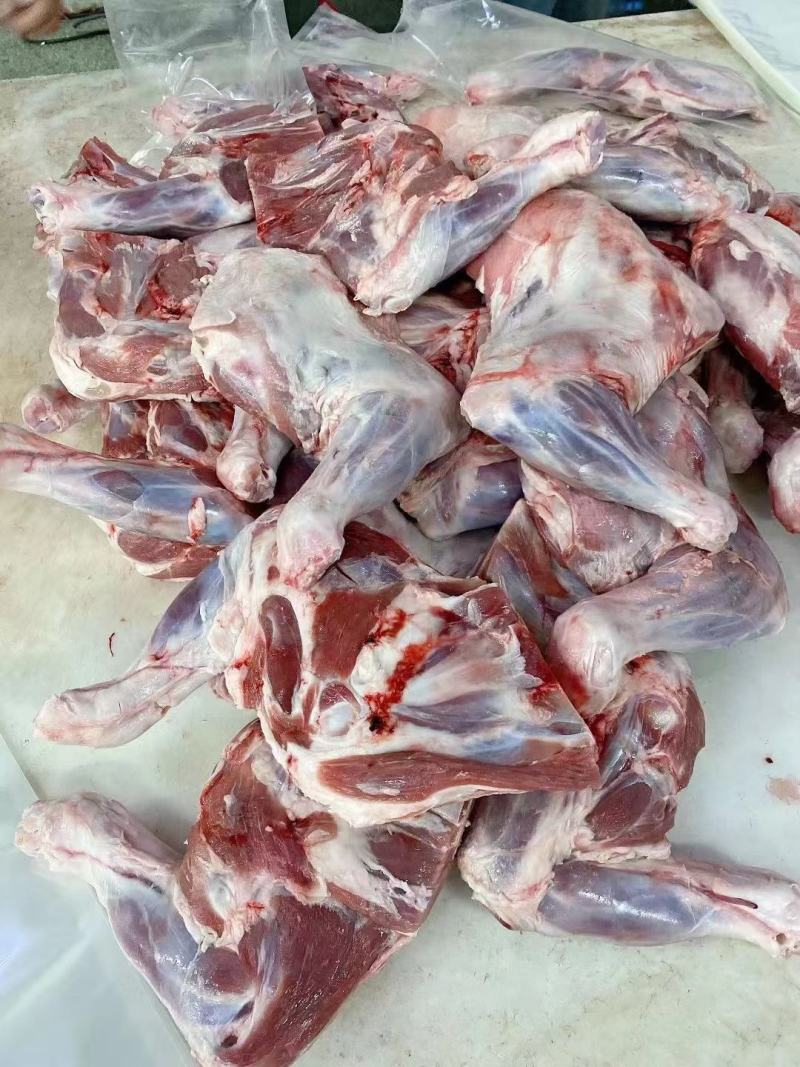 羔羊羊前腿