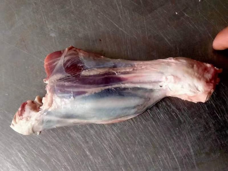 羊前腱