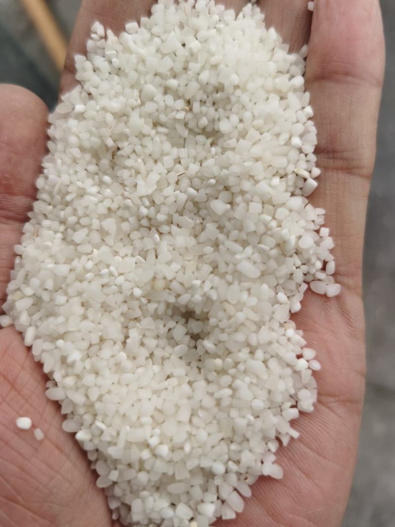 碎米，煮酒碎米，进口碎米，米粉碎米，大量长期供应