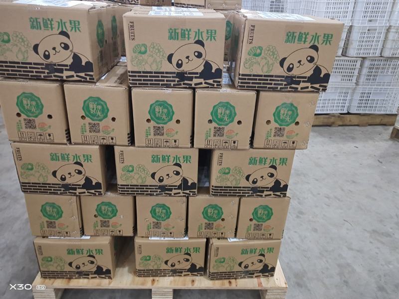 李子.茵红李.