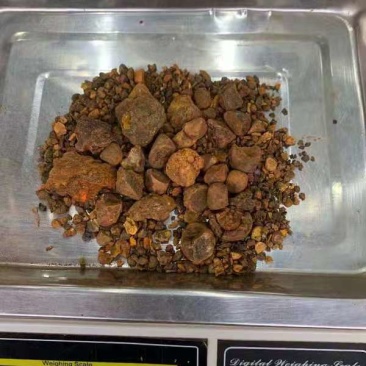 牛黄