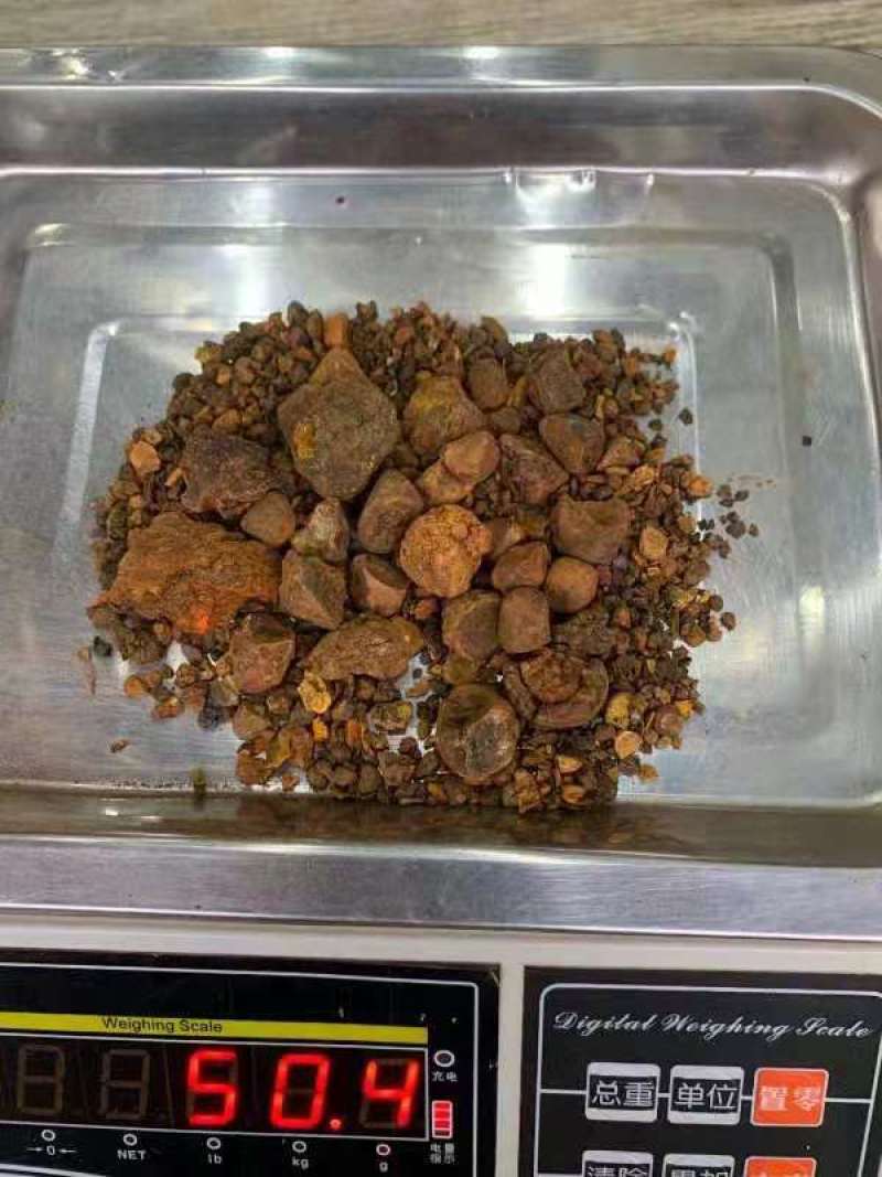 牛黄