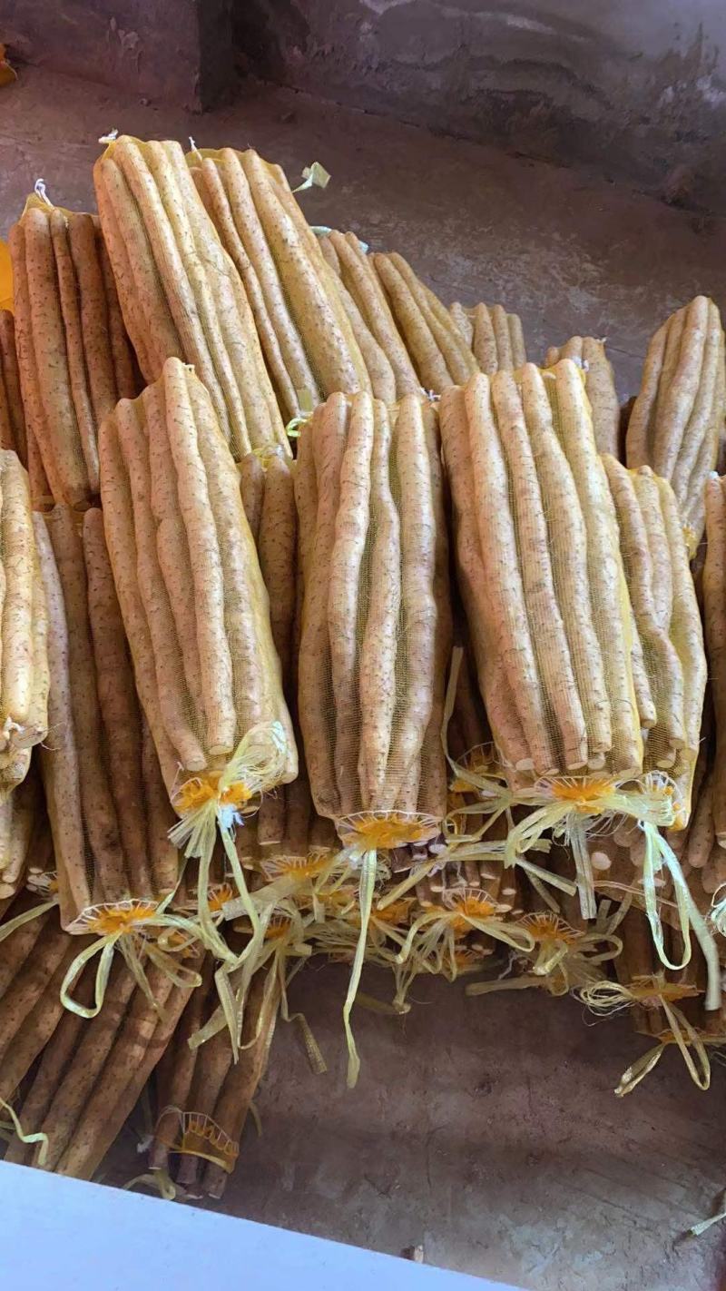 小白嘴山药散货，基地直发，价格美丽，可视频看货