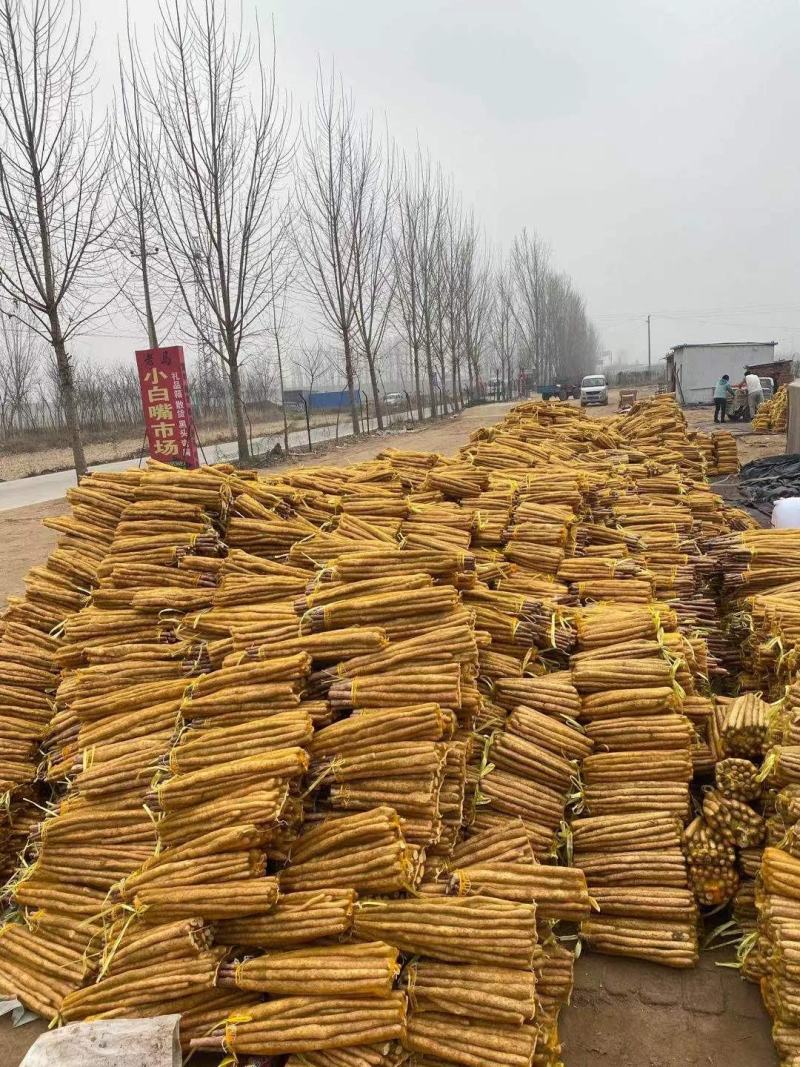 小白嘴山药网兜货，价格实惠，量大从优。欢迎下单