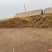 小白嘴白山药大量有货，价格实惠，欢迎下单合作。