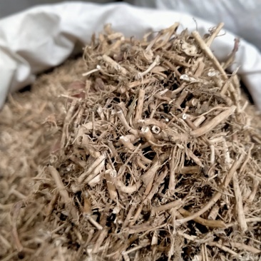 白前！白前大货批发零售！干度好纯无硫欢迎下单！
