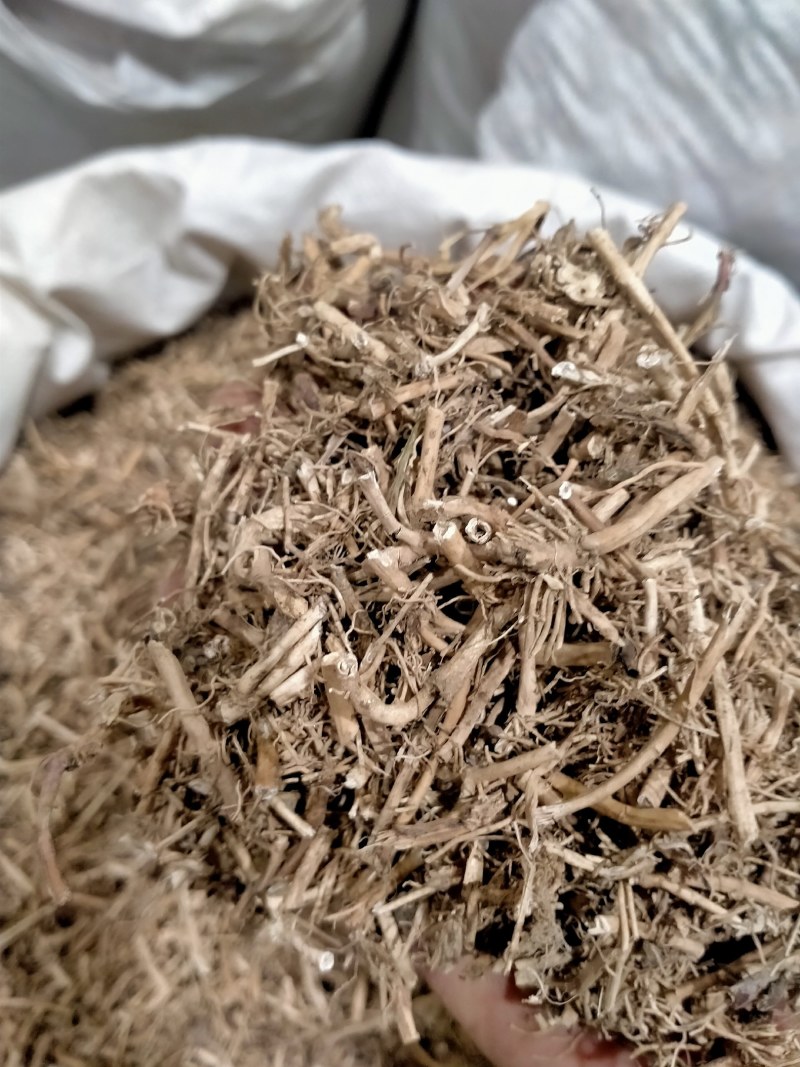 白前！白前大货批发零售！干度好纯无硫欢迎下单！