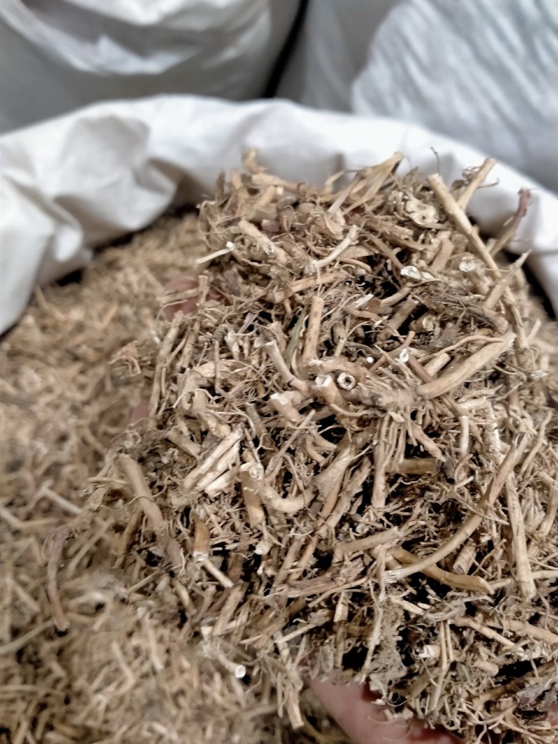 白前！白前大货批发零售！干度好纯无硫欢迎下单！