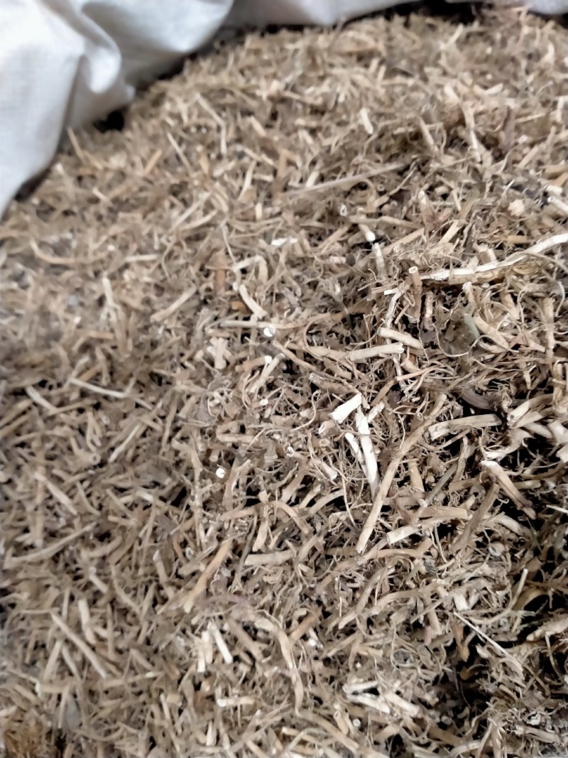 白前！白前大货批发零售！干度好纯无硫欢迎下单！