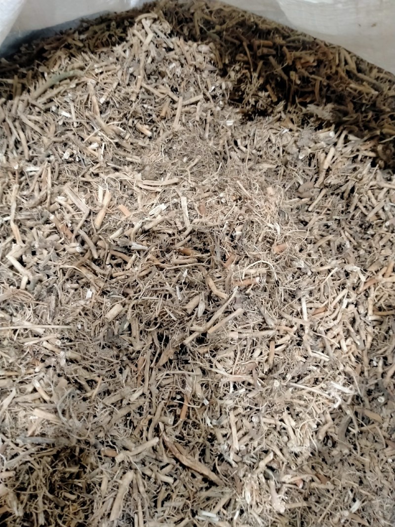 白前！白前大货批发零售！干度好纯无硫欢迎下单！
