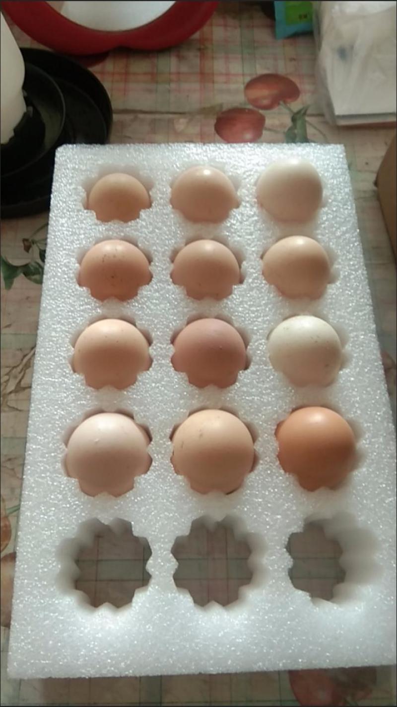 婆罗门