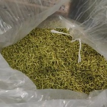 湖北四季金银花，干金银花各种等级金银花2021年新季干货