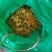 湖北四季金银花，干金银花各种等级金银花2021年新季干货