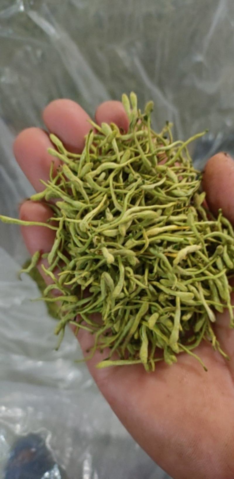 湖北四季金银花，干金银花各种等级金银花2021年新季干货