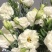 洋桔梗白色3扎并1扎8-9支中通冷链包邮家庭插花每周一花