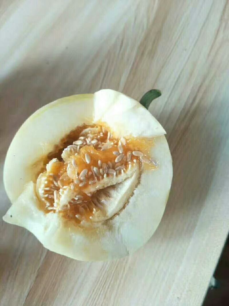 河北石家庄新乐市孔村农联社老贺果蔬购销