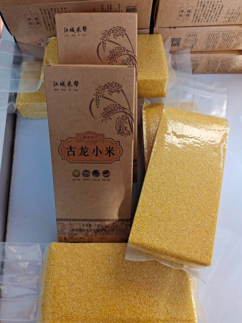 古龙小米