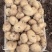 中暑5号优质土豆精品沙地土豆个大表面光滑，无中间商赚差价