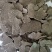 大量出售青菜饼，价格美丽，质量保证，量大从优