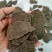 大量出售青菜饼，价格美丽，质量保证，量大从优