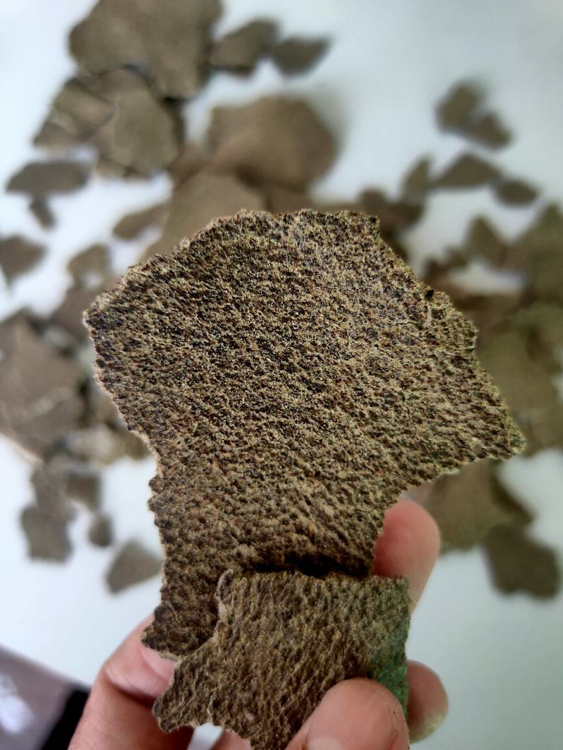 大量出售青菜饼，价格美丽，质量保证，量大从优