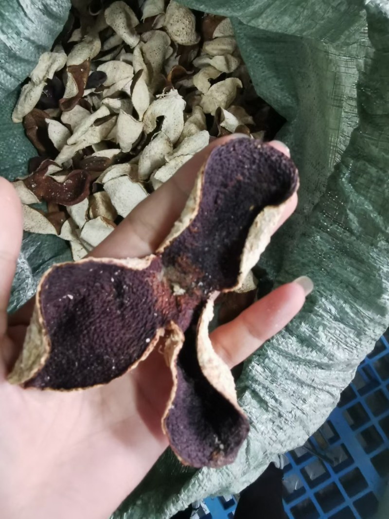 陈皮