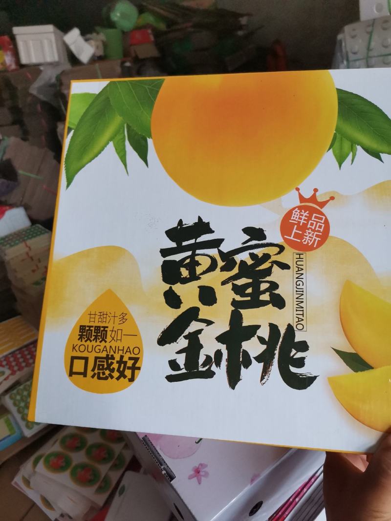 一件代发山东黄金油桃，现摘现发，对接各大商超，电商微商