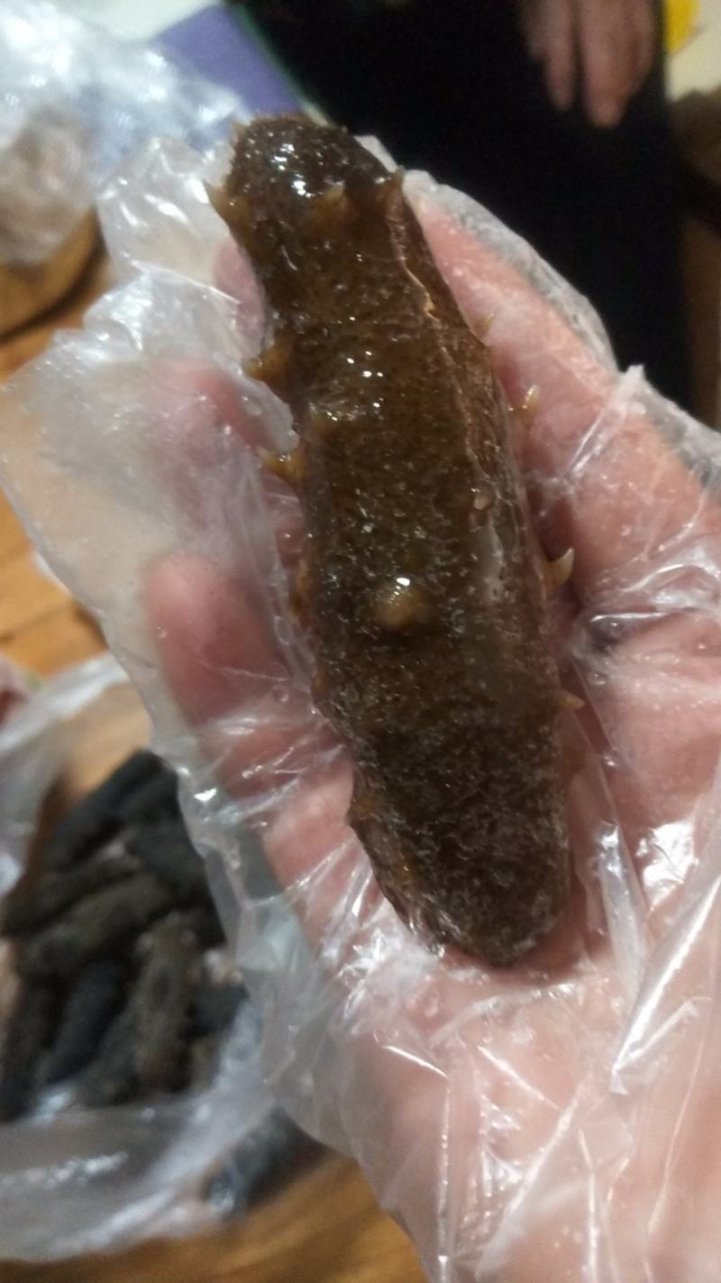 山东各种规格冷冻海参，辽参、山东参，土耳其米刺参，乌参