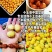 专业迷你黄心小土豆供应，常年基地培育鲜货供应，小吃食品
