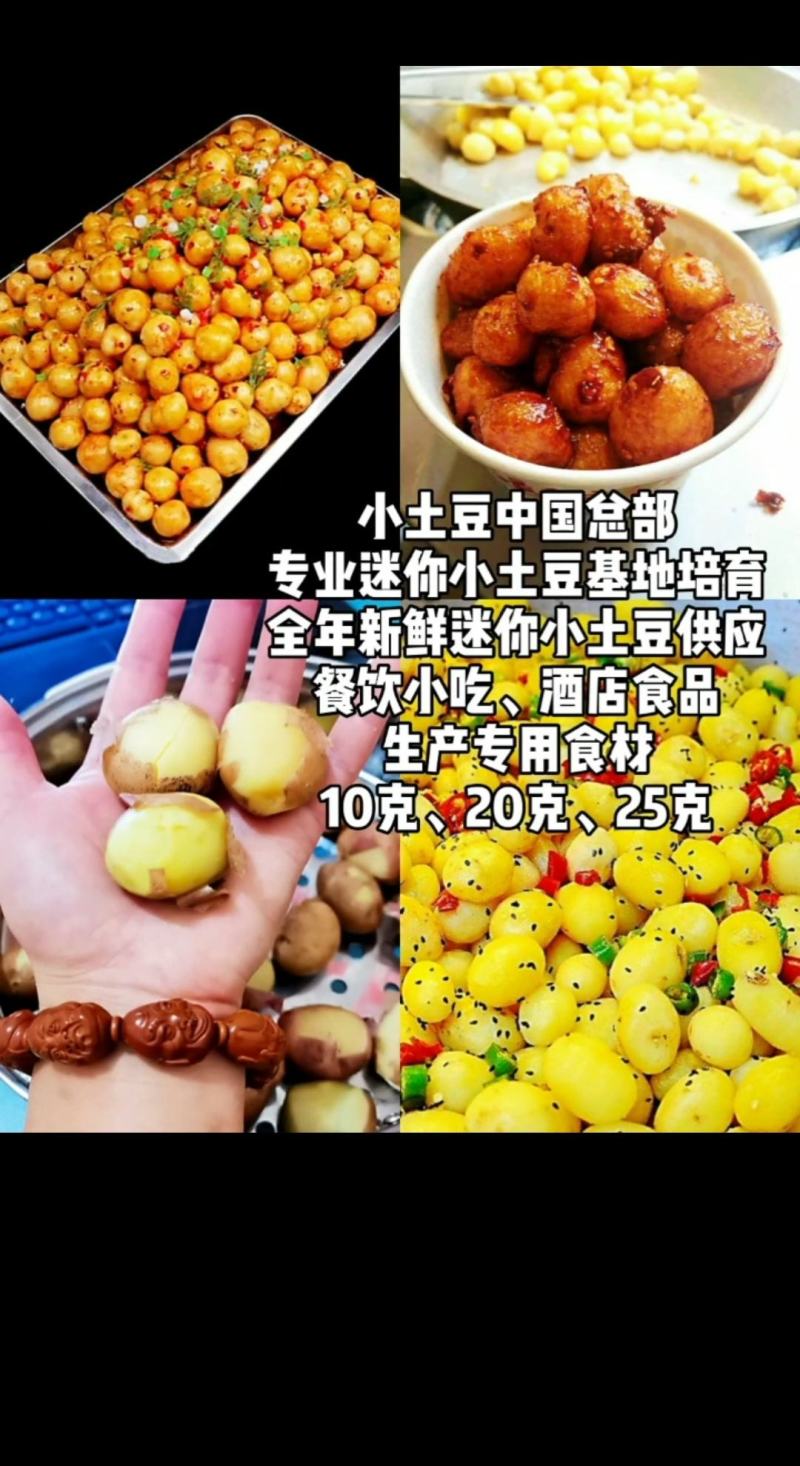 专业迷你黄心小土豆供应，常年基地培育鲜货供应，小吃食品