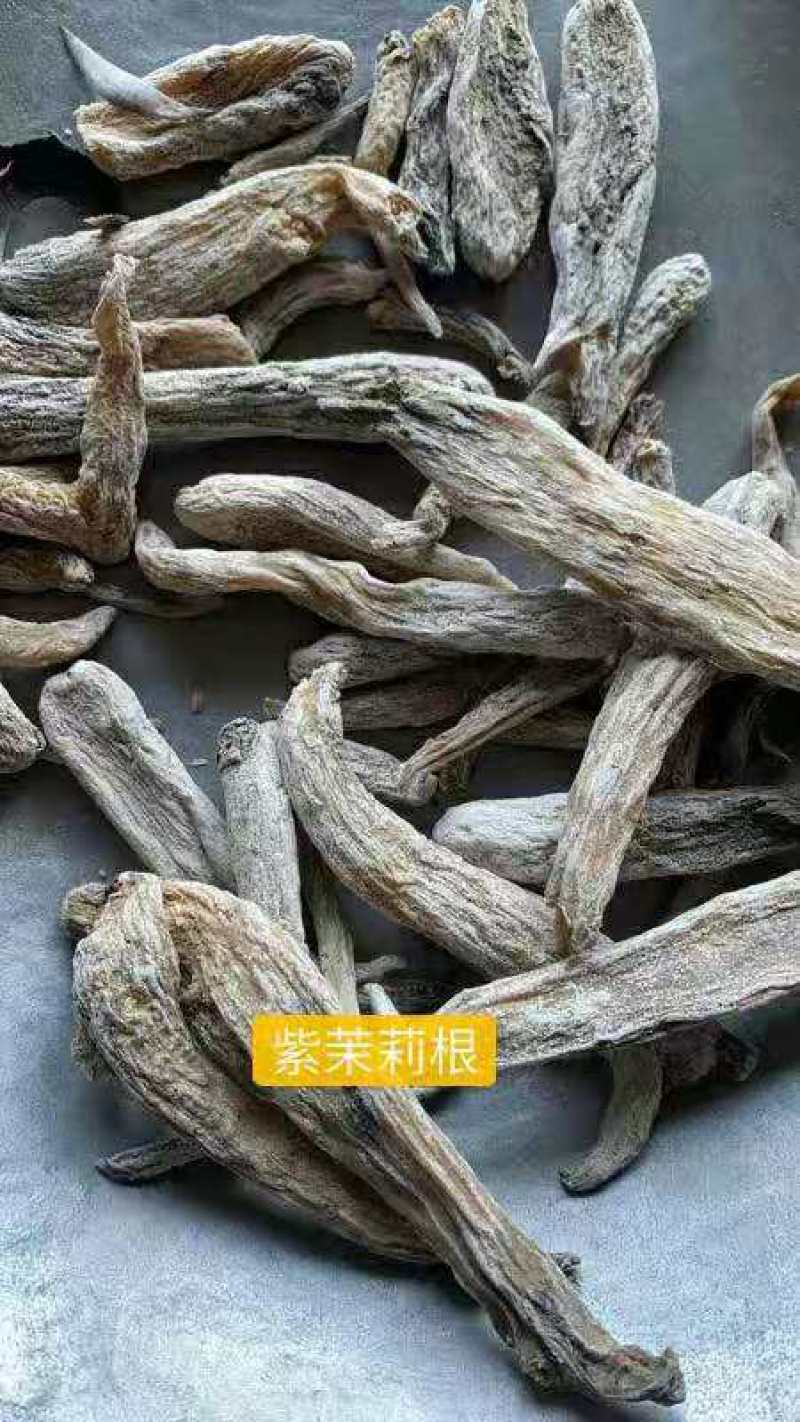 紫茉莉根入地老鼠茉莉花根实物拍摄支持7天无理由退换货