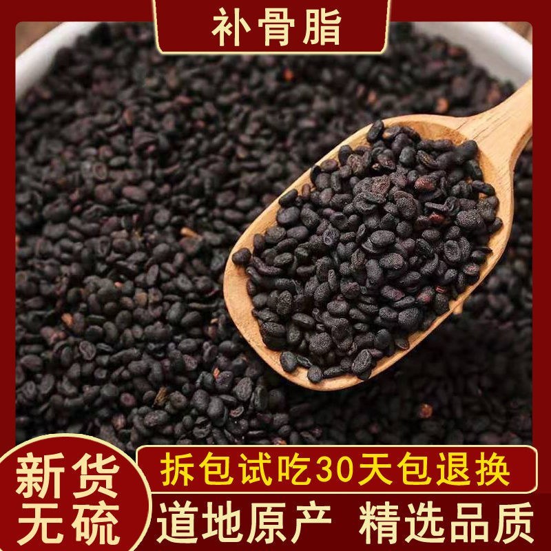 补骨脂中药材补骨脂胡韭子破故纸黑故子非野生补骨脂