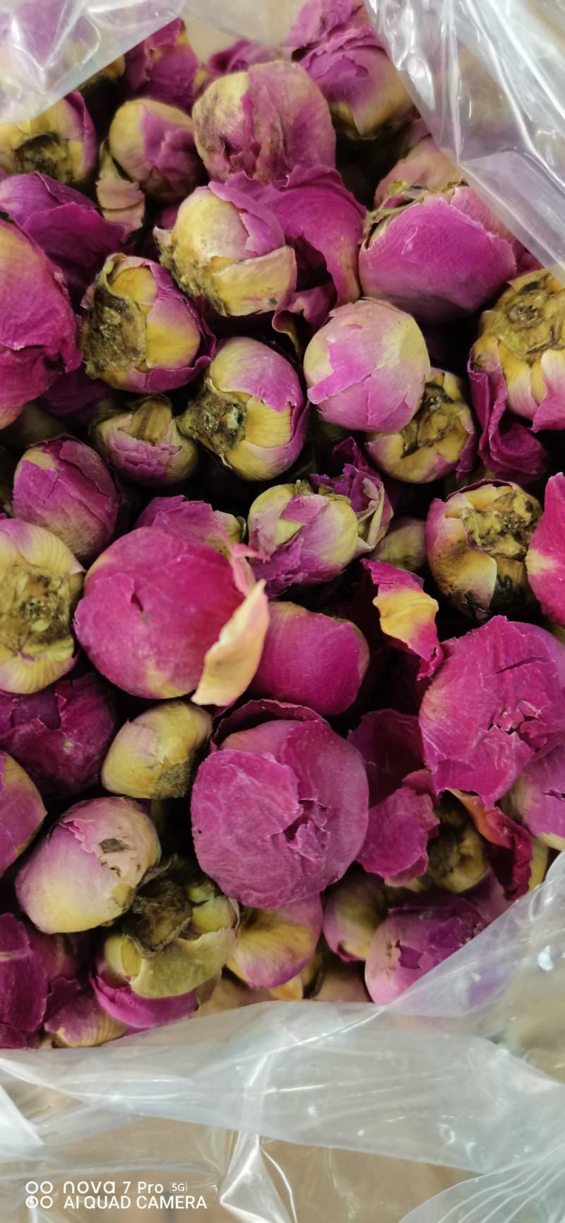 芍药花干花球干花片新货上市