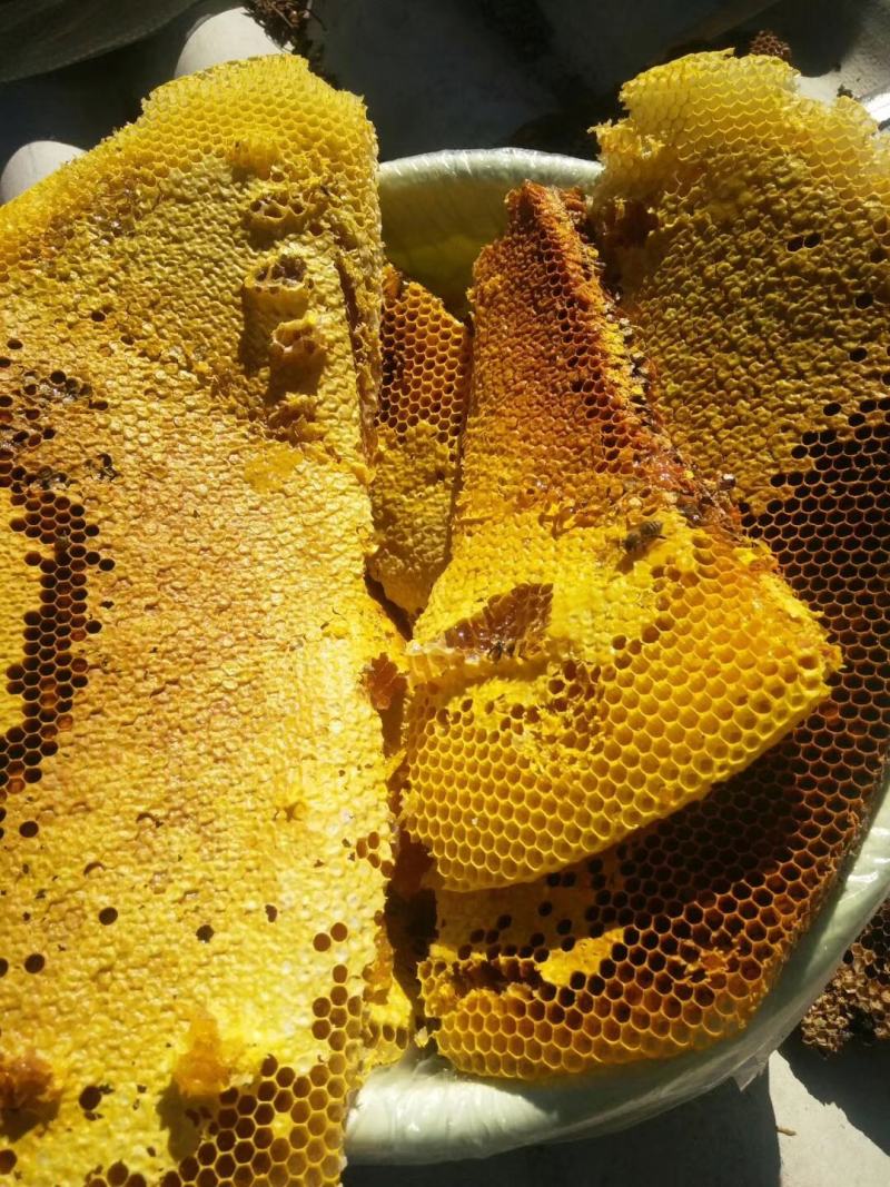 土蜂蜜