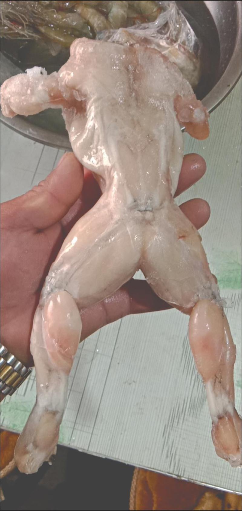 牛蛙肉，新鲜田鸡肉冷冻去皮去头去脚趾去内脏保鲜发货，包邮