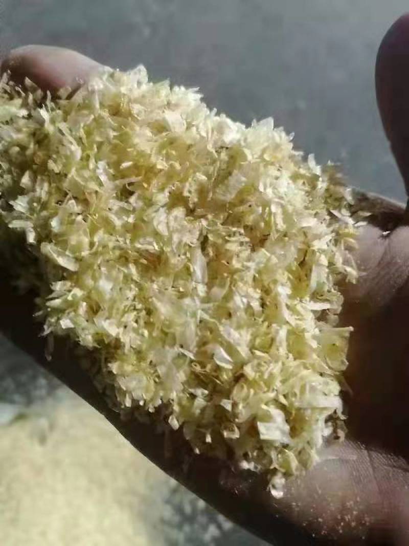 大量出售玉米皮，饲料玉米皮食用菌玉米皮。