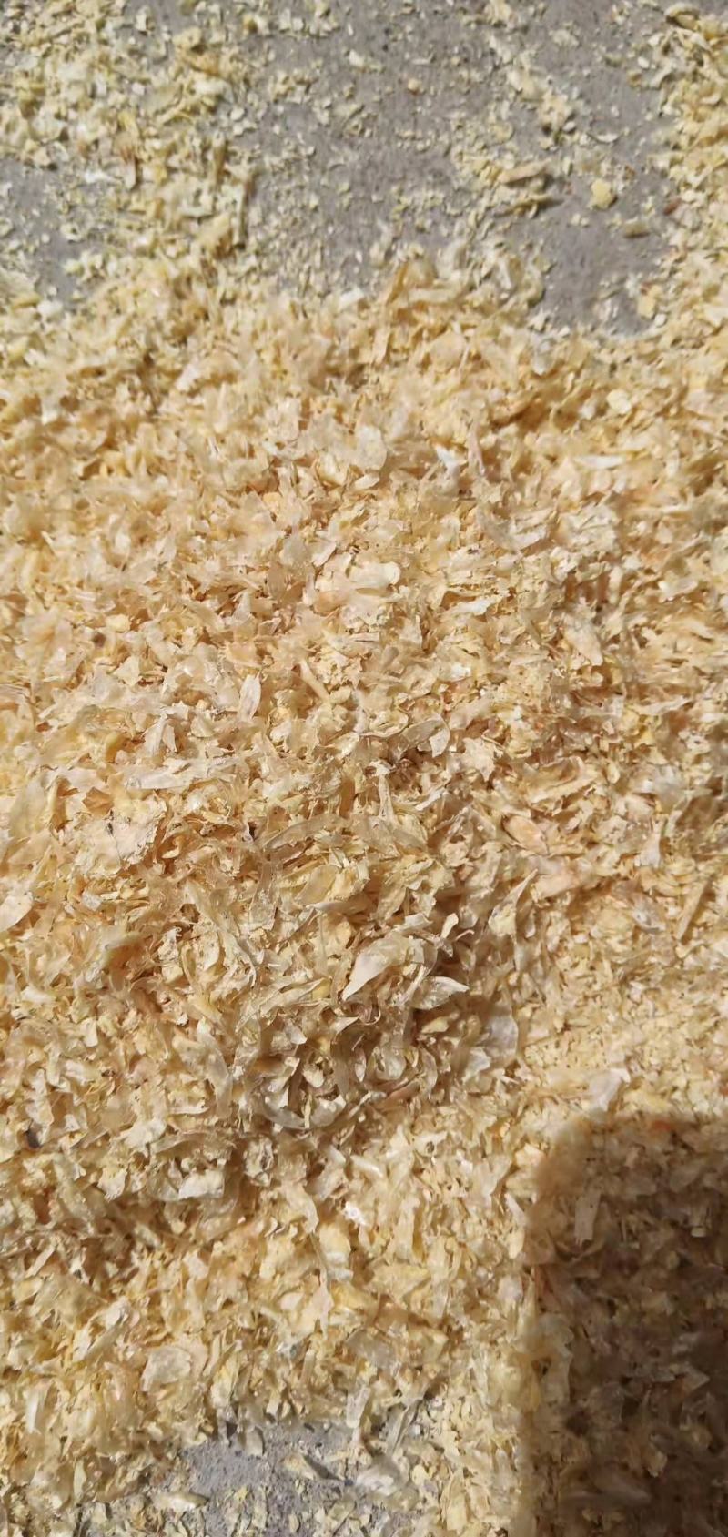 大量出售玉米皮，饲料玉米皮食用菌玉米皮。