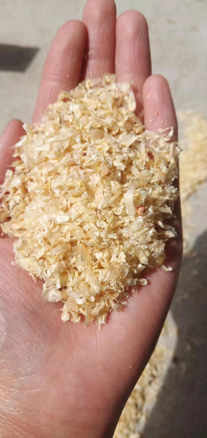 大量出售玉米皮，饲料玉米皮食用菌玉米皮。
