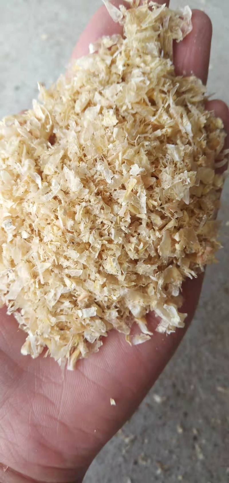 大量出售玉米皮，饲料玉米皮食用菌玉米皮。