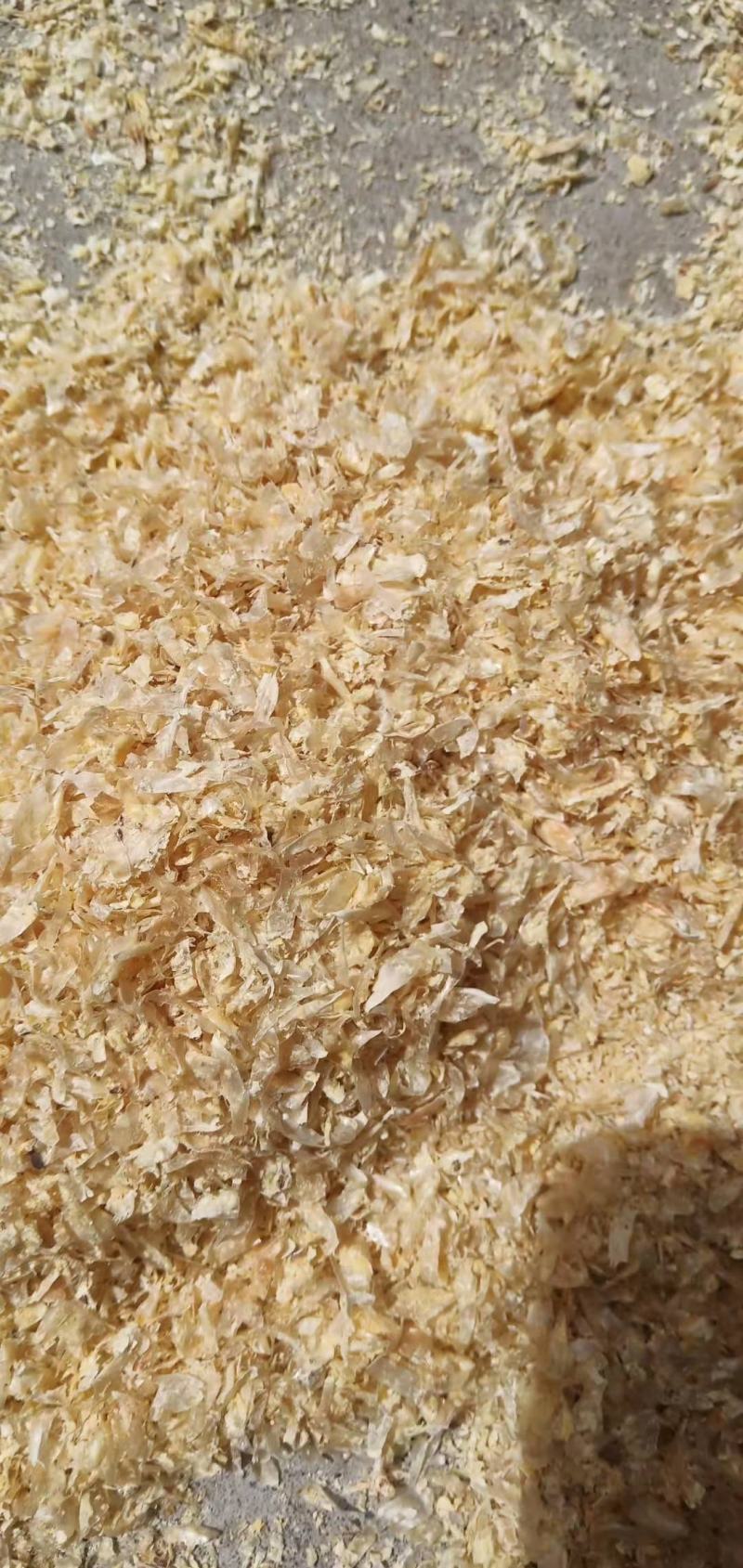 大量出售玉米皮，饲料玉米皮食用菌玉米皮。