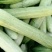 大棚韩丰品种