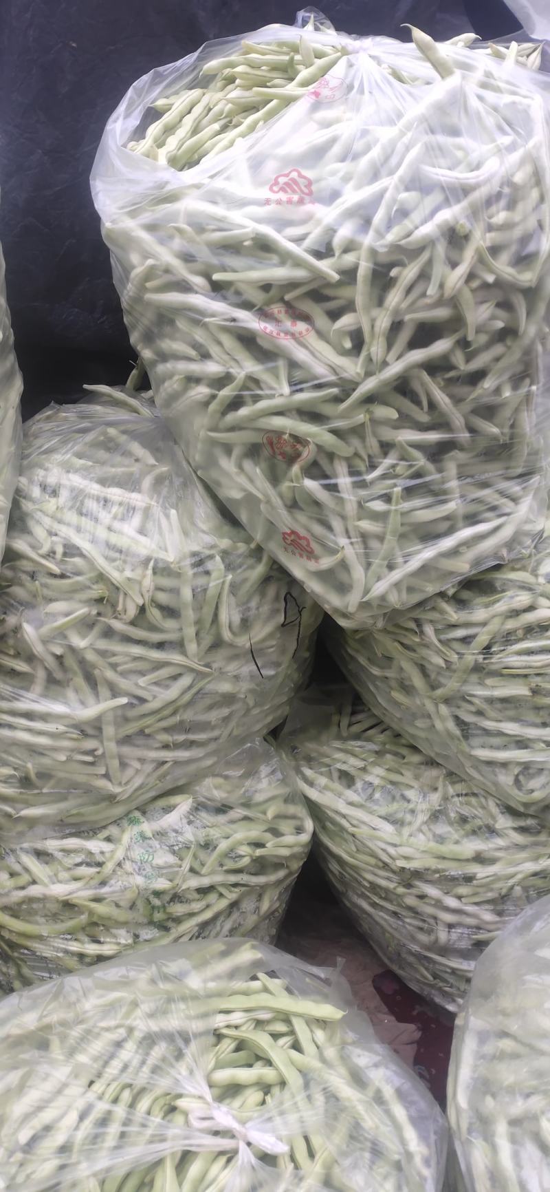 山东高密精品芸豆量大