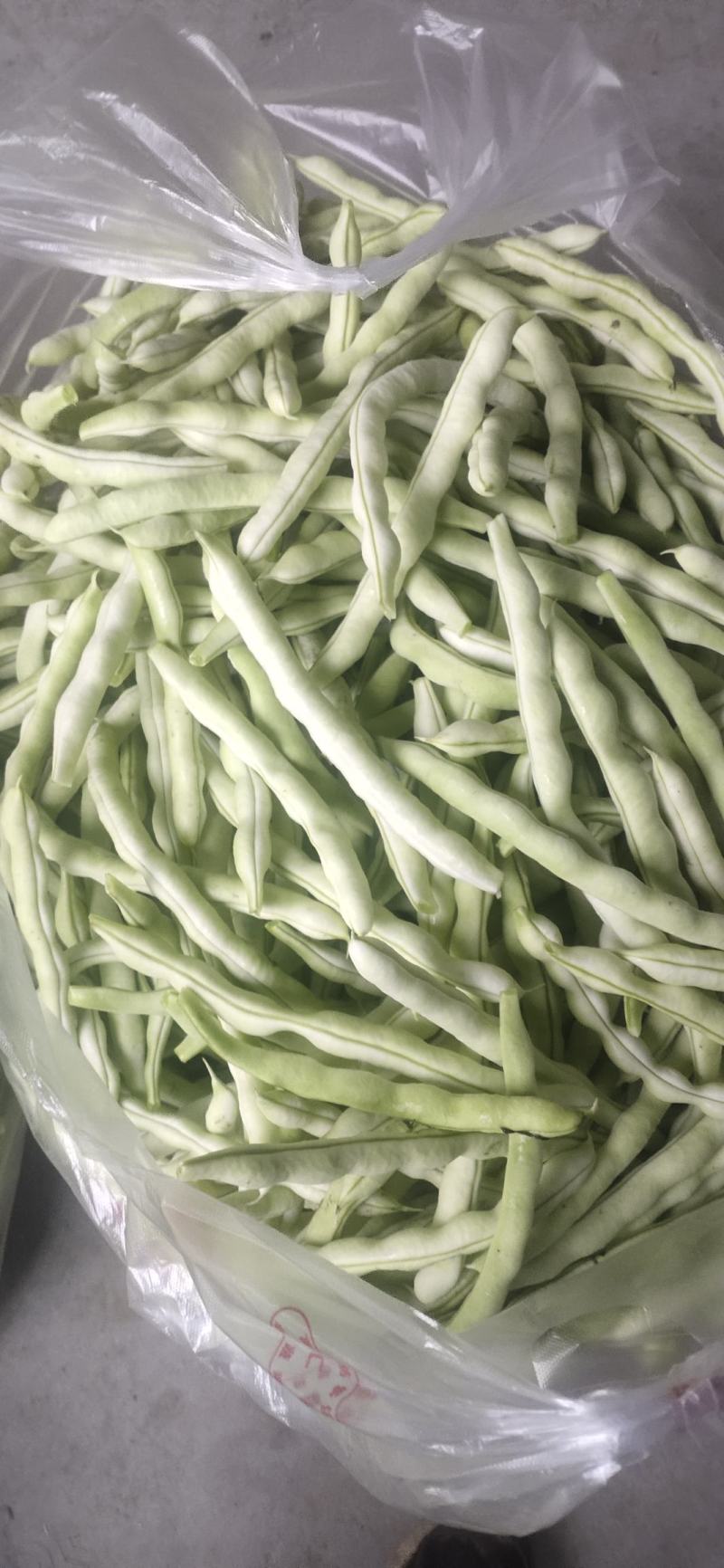 山东高密精品芸豆量大