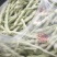 山东高密精品芸豆量大