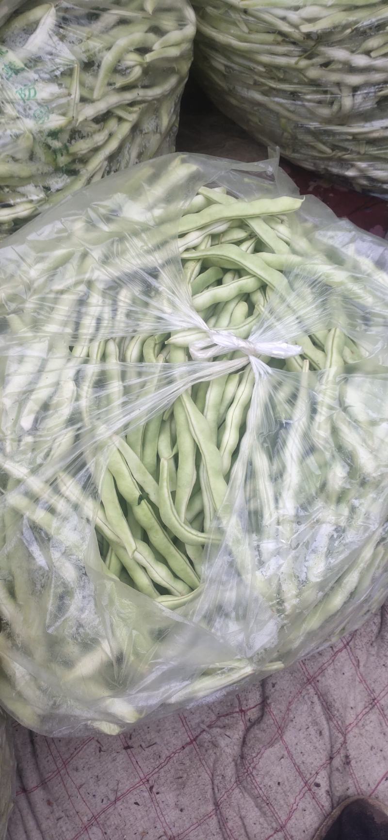 山东高密精品芸豆量大